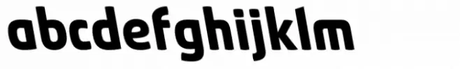 Absolut Pro Bold Backslanted Italic