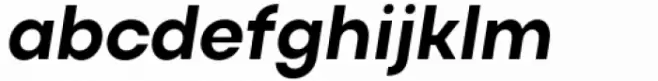 Actay Bold Italic