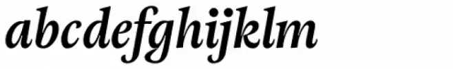 Adriane Text Bold Italic