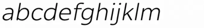 Alleyn Book Italic
