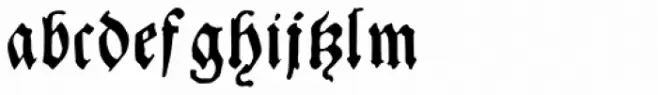 Andreae