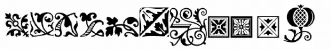 Andron Ornamente