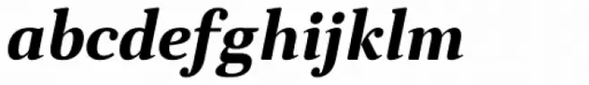 Anglecia Pro Text Bold Italic