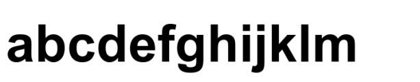 Arial Unicode Bold