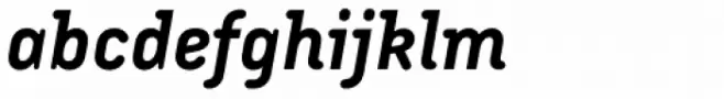 Armature Neue Bold Italic