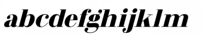 Arshila Black Italic