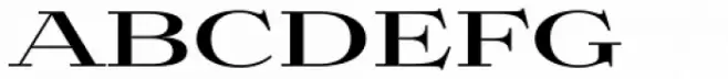 Aviano Didone Display Black