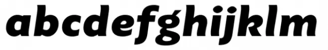 Axios Pro Black Italic