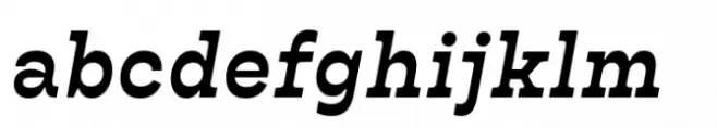 Bardamu Bold Half Italic