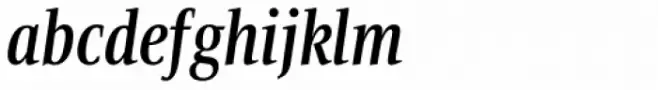 Bartholeme Bold Italic