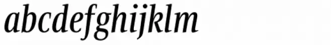 Bartholeme Medium Italic