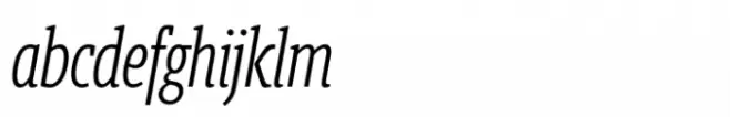 Berlingske Slab ExtraCondensed Std Light Italic