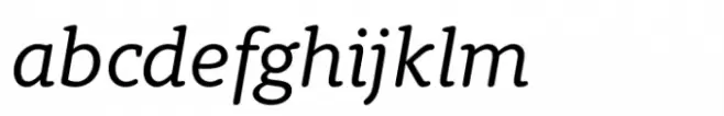 Berlingske Typewriter Std Medium Italic