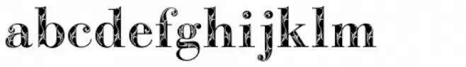 Bodoni Classic Bold Ornate