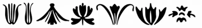 Bodoni Ornaments