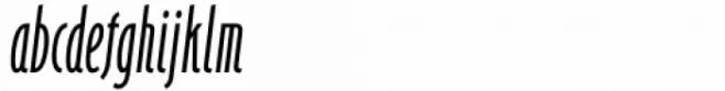 Bougainville Neo Book Italic