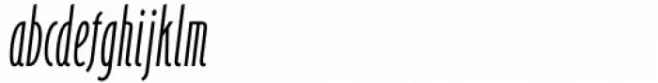 Bougainville Neo Light Italic