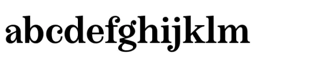 Boutique Serif S Medium