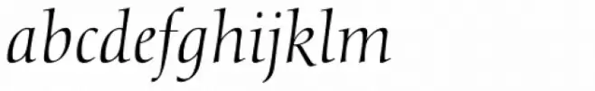 Calligraphic 810 Italic