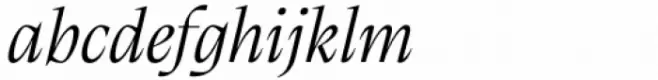 Calvino Grande Light Italic