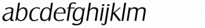Castle TS Light Italic