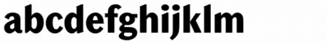 Chong Old Style Std ExtraBold