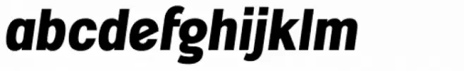 Coast Wide Black Italic