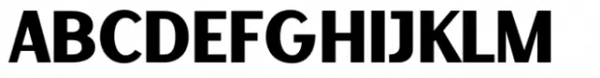 Decary Sans Bold