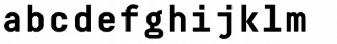 Decima Mono Bold