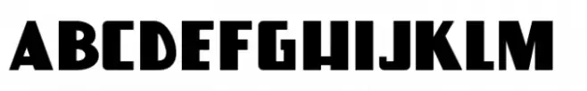 Detective Case JNL Regular