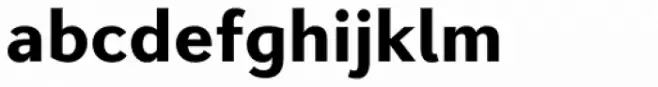 Diverda Sans Pro Black Italic
