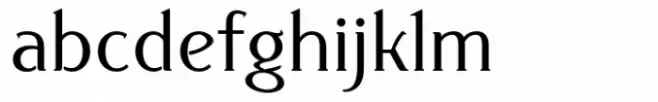 Donchenko Serif Medium