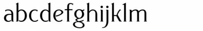 Donchenko Serif Regular