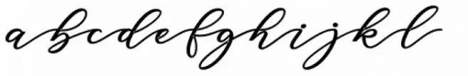 Donita Bold