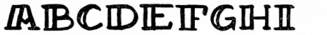 Drustic Dialy Serif