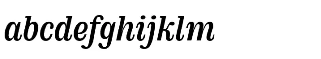 DT Augustina Slab Italic 1 Medium