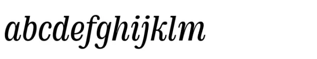 DT Augustina Slab Italic 1 Regular