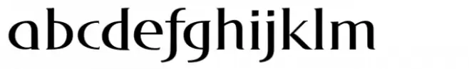 DT Skiart Serif Leaf Medium