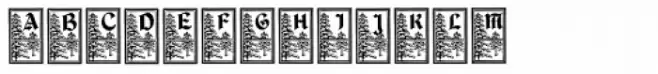 DurerGotischCapitals