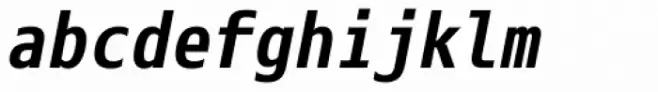 Eco Coding Bold Italic