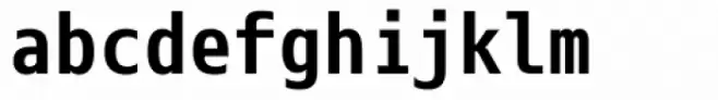 Eco Coding Bold