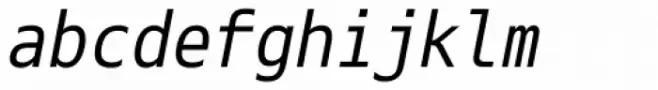 Eco Coding Italic