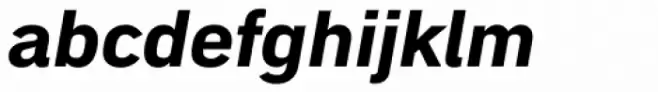 Embarcadero MVB Pro ExtraBold Italic