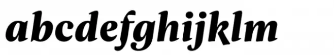 Evans Heavy Italic