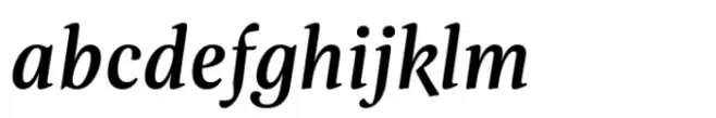 Evans Medium Italic