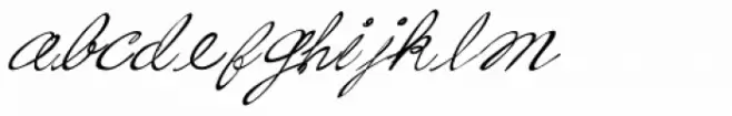 Fancy Pants Bold Italic