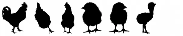 Feathery