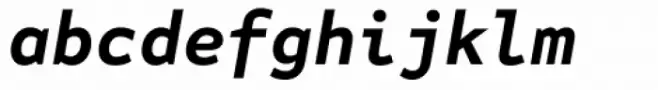 FF Attribute Mono Bold Italic