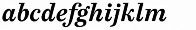 FF Casus Bold Italic