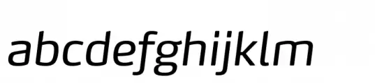 FF Max Italic